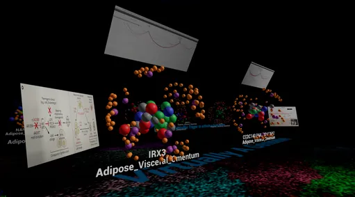 Virtually A Genome VR application screenshot
